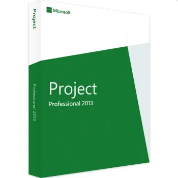 Project 2013 Professional