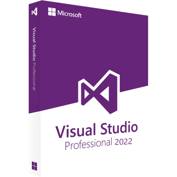 Microsoft Visual Studio Professional 2022