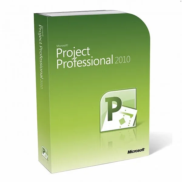 Project 2010 Professional