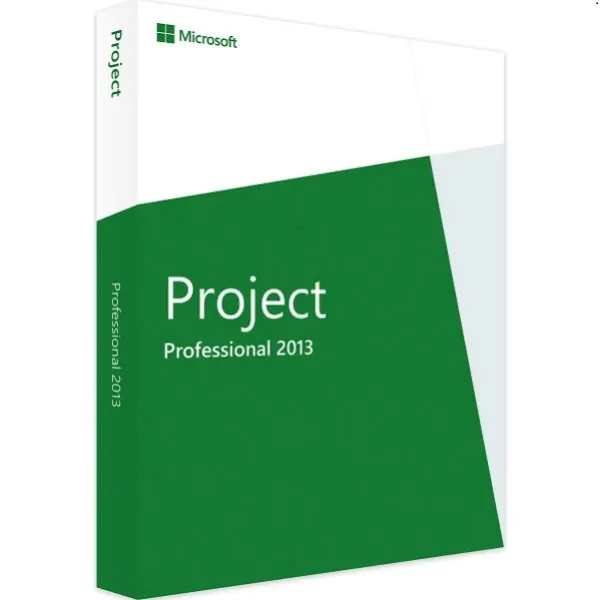 Project 2013 Professional