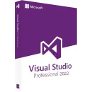 Microsoft Visual Studio Professional 2022